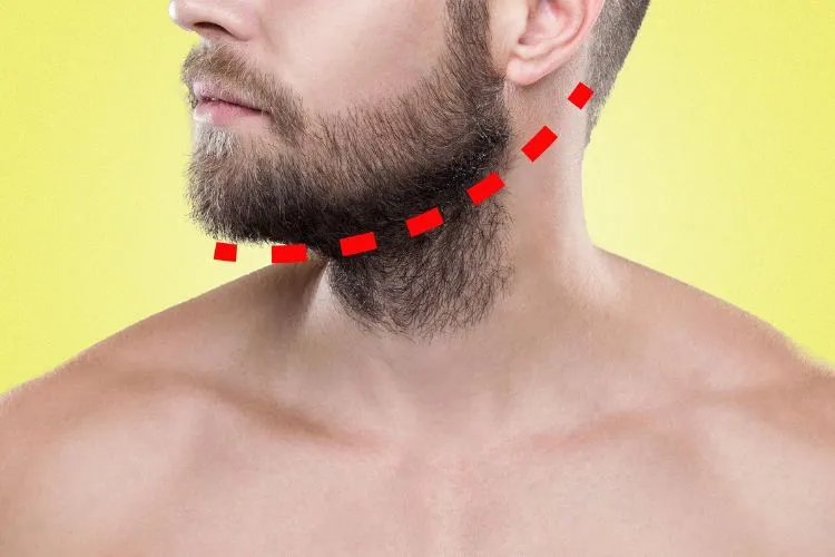 Are neckbeards attractive